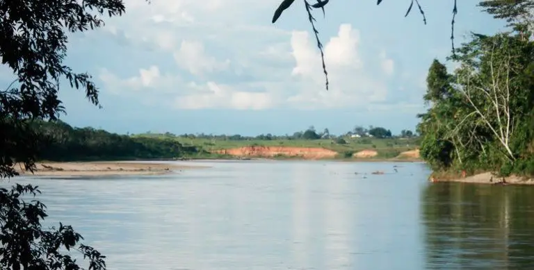 RÍo Putumayo Ubicación Nacimiento Y Todo Lo Que Tiene Que Saber