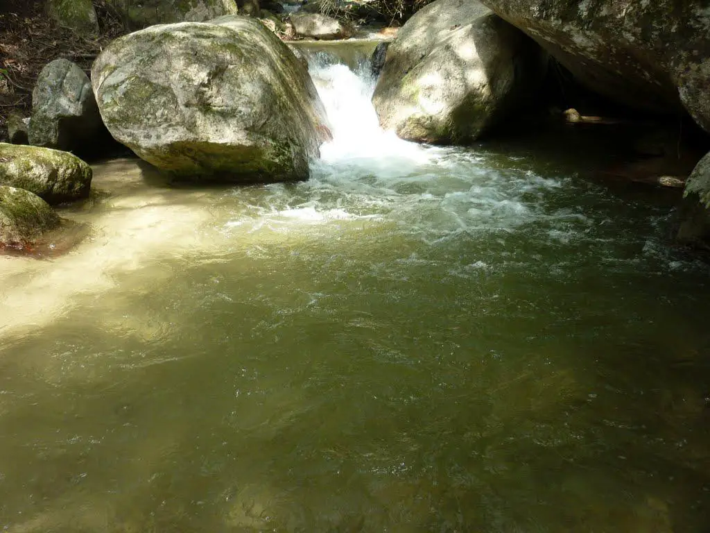Río El Limón. Aragua
