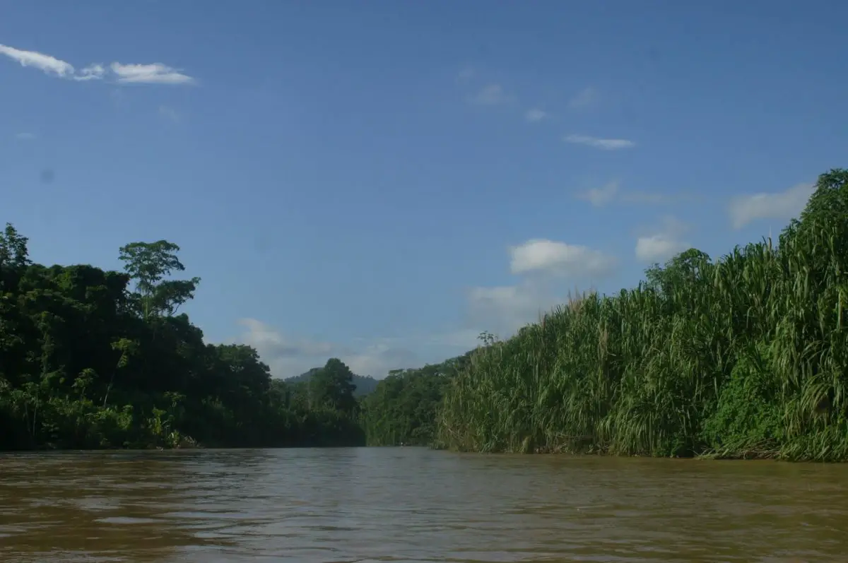 Río Tuy. Venezuela