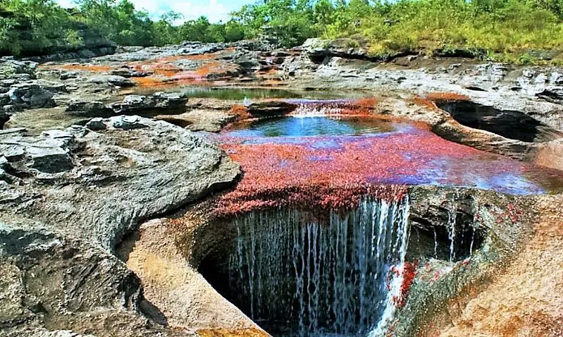 CAÑO CRISTALES: Descripción, Ubicación, Mapa y mucho más.