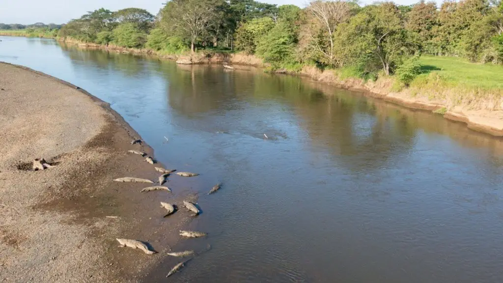 RÃ­o TÃ¡rcoles en su esplendor