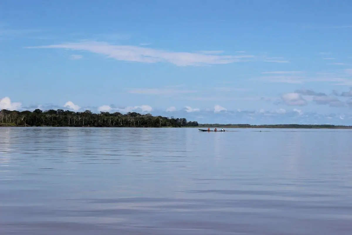 Amazonian River: History, Origin, Characteristics, Depth and Much More