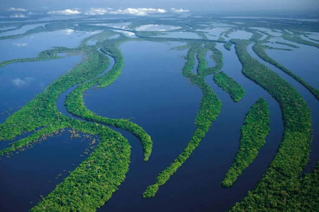 vista del rio amazonas