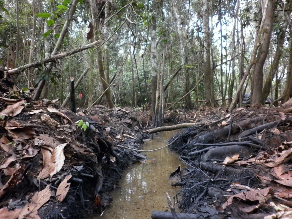 contaminacion del rio amazonas