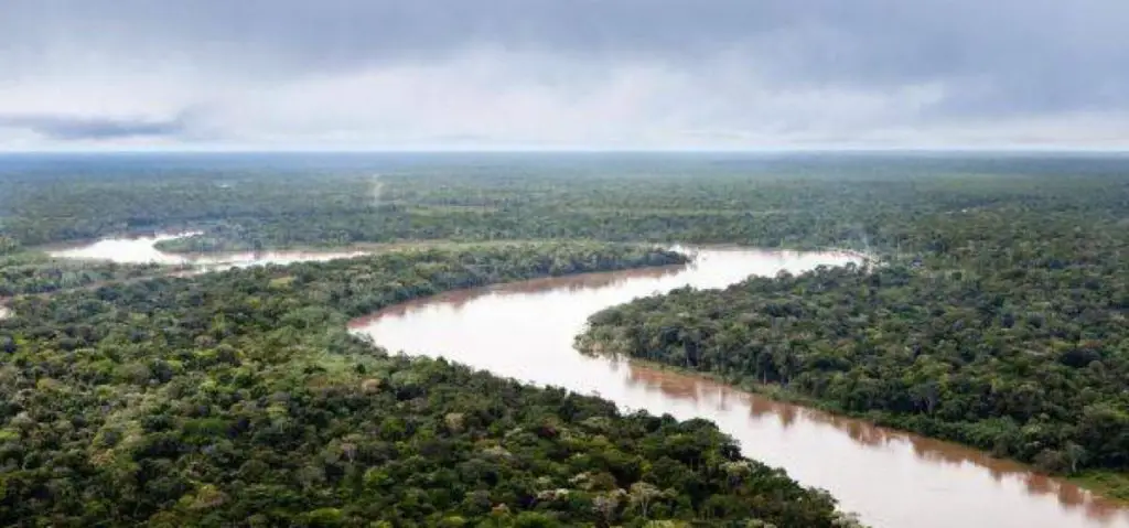 Amazonian River: History, Origin, Characteristics, Depth and Much More