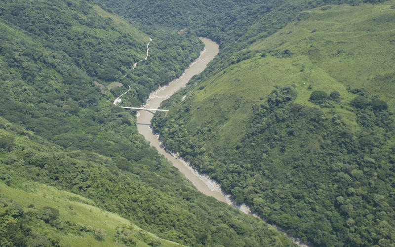 bosques del rio cauca