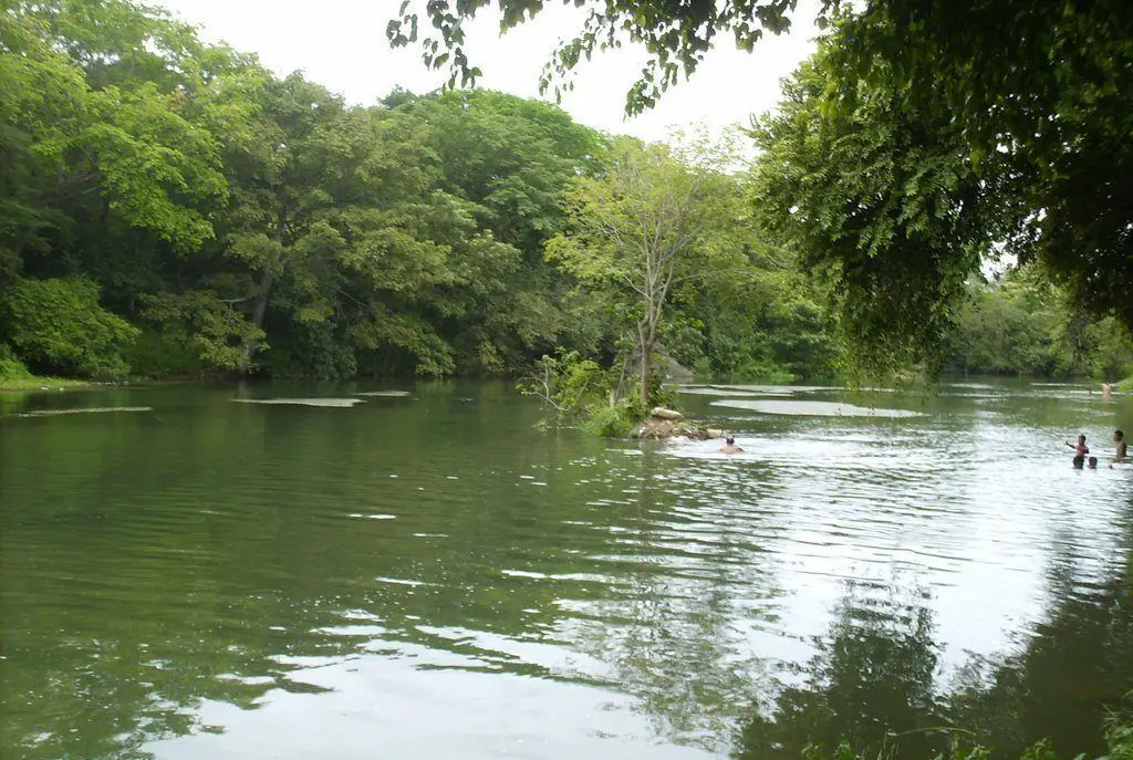 río guárico