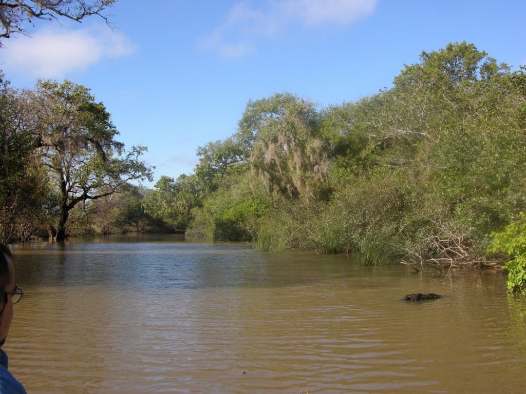 charco boreal del rio paraguay