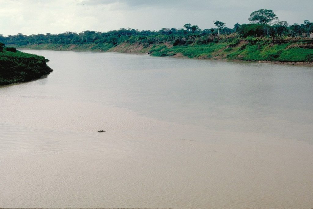 vista del rio purus