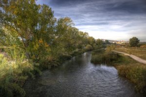 River Turia: history, location, riverbed, source, and more