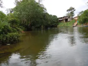 Río Mataje: ubicación y todo lo que desconoce sobre él