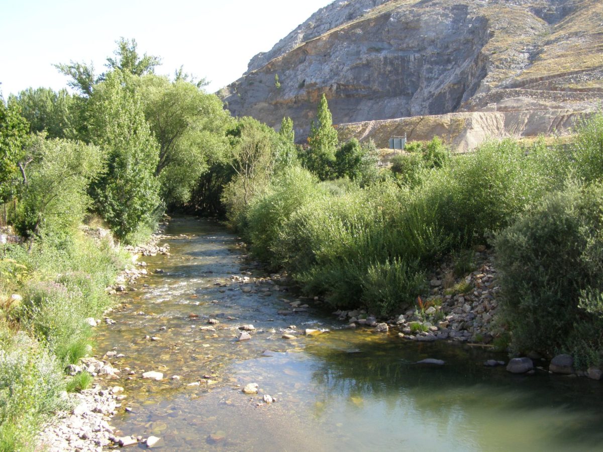 Río Bernesga. España