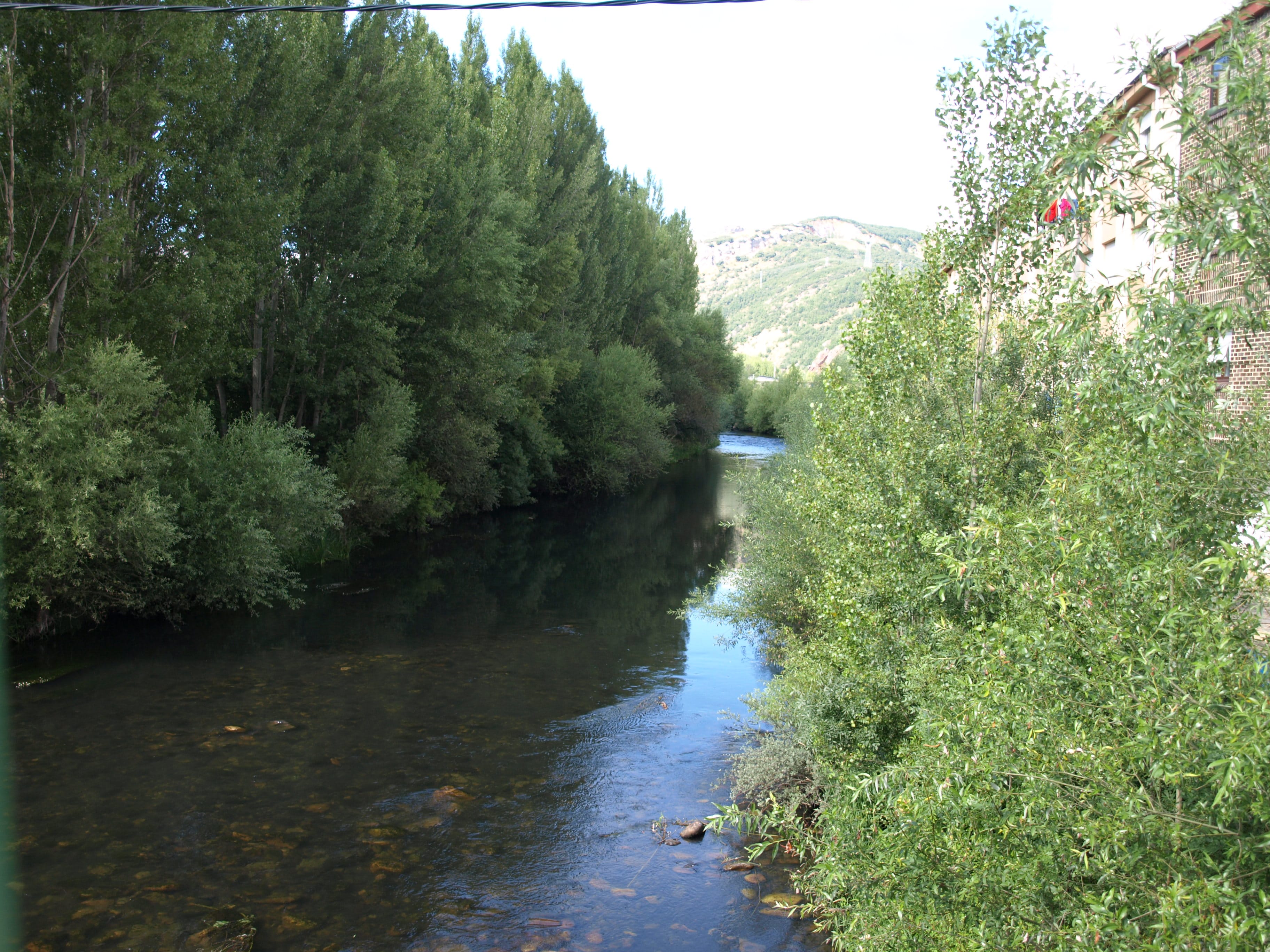Río Bernesga. España