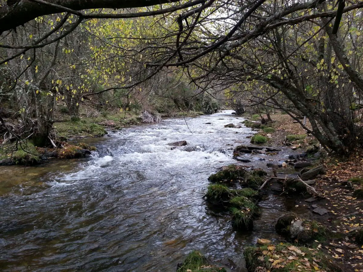 Río Jarama. España
