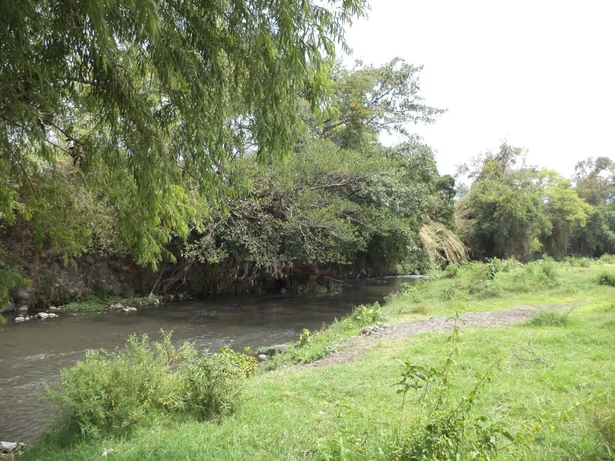 Río Cuautla 