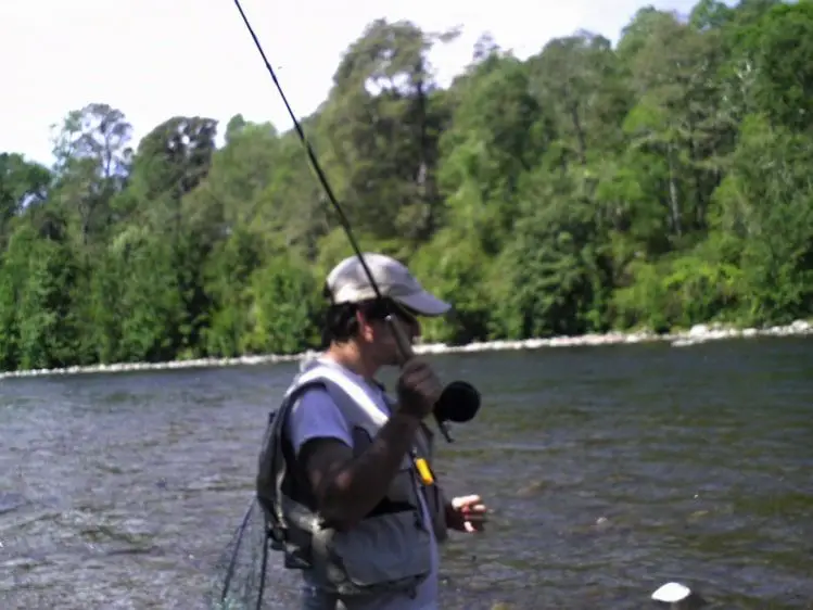 pesca del rio cautin