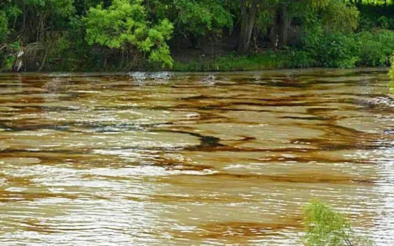 contaminacion del rio cazones