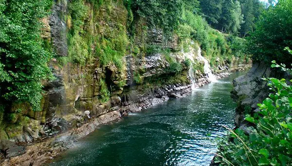 reserva del rio clarillo