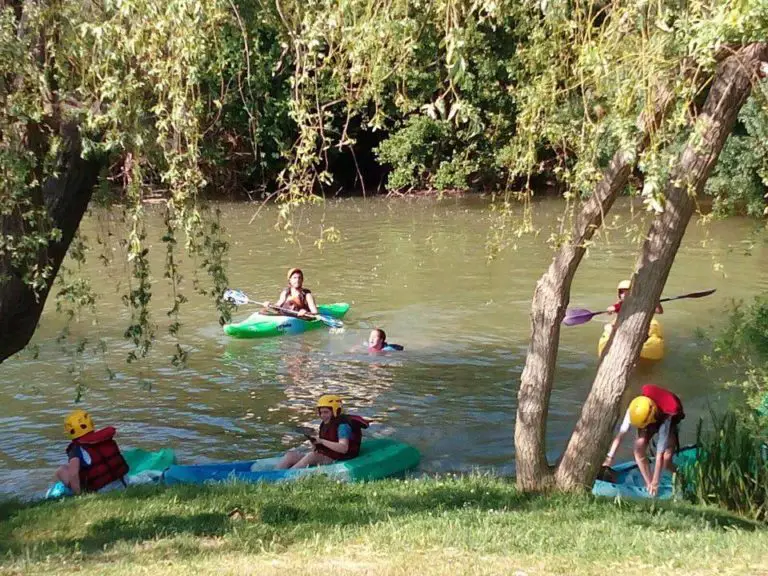 Rio Ega sepa todo lo que necesita conocer sobre él