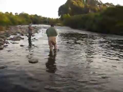 pesca en el rio hueñu hueñu