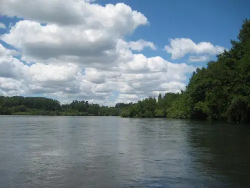 cuenca del rio laja