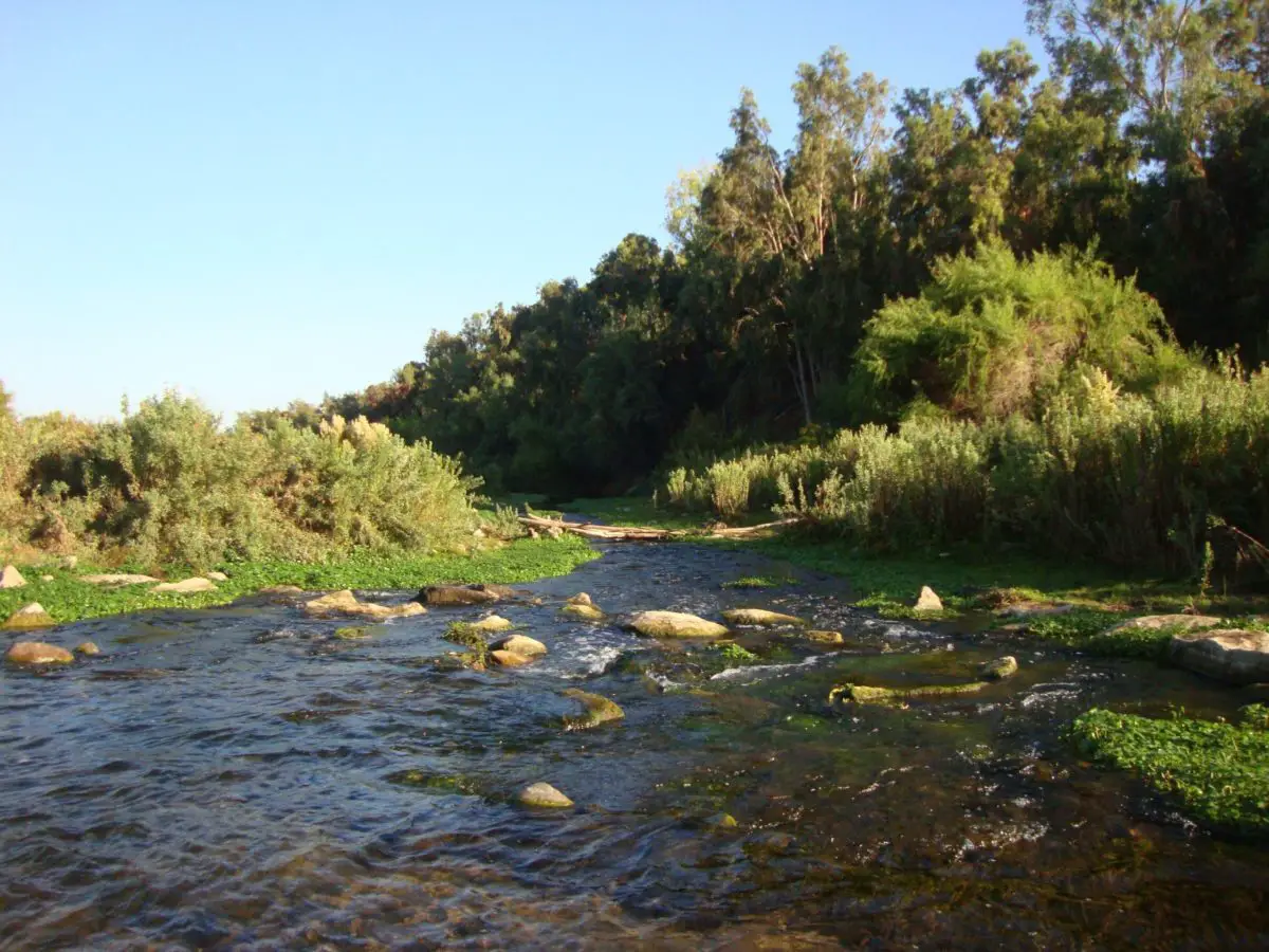 vista del rio limari