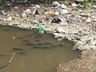 contaminacion del rio lujan