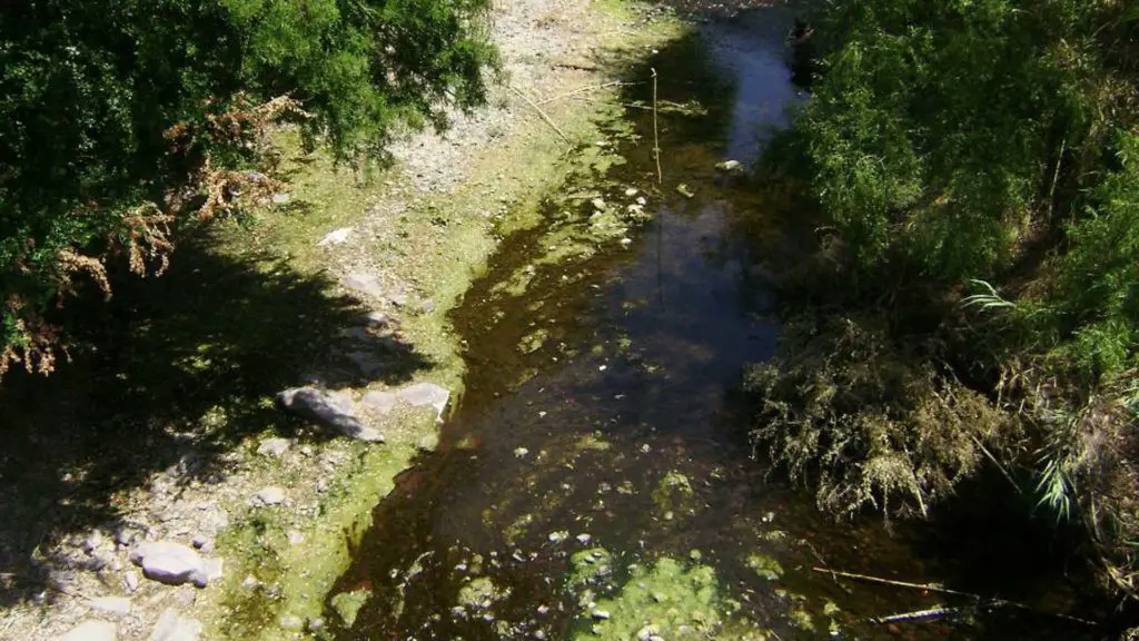 río mixteco