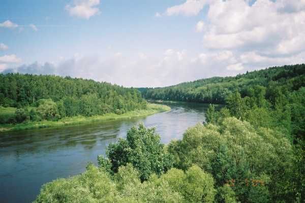 vista del rio niemen