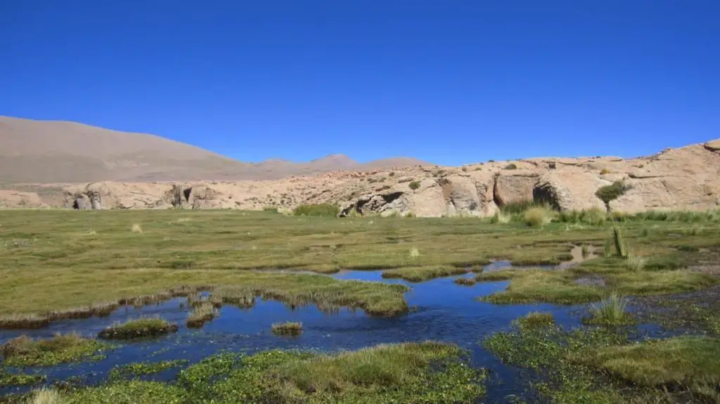 Río Silala: Ubicación, mapa y todo lo que desconoce de él