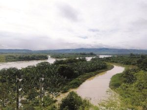 Río Zarumilla Ubicación y todo lo que necesita conocer sobre él