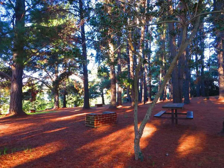 TODO ACERCA DEL LAGO PEÑUELAS, UN EMBALSE DE VALPARAÍSO