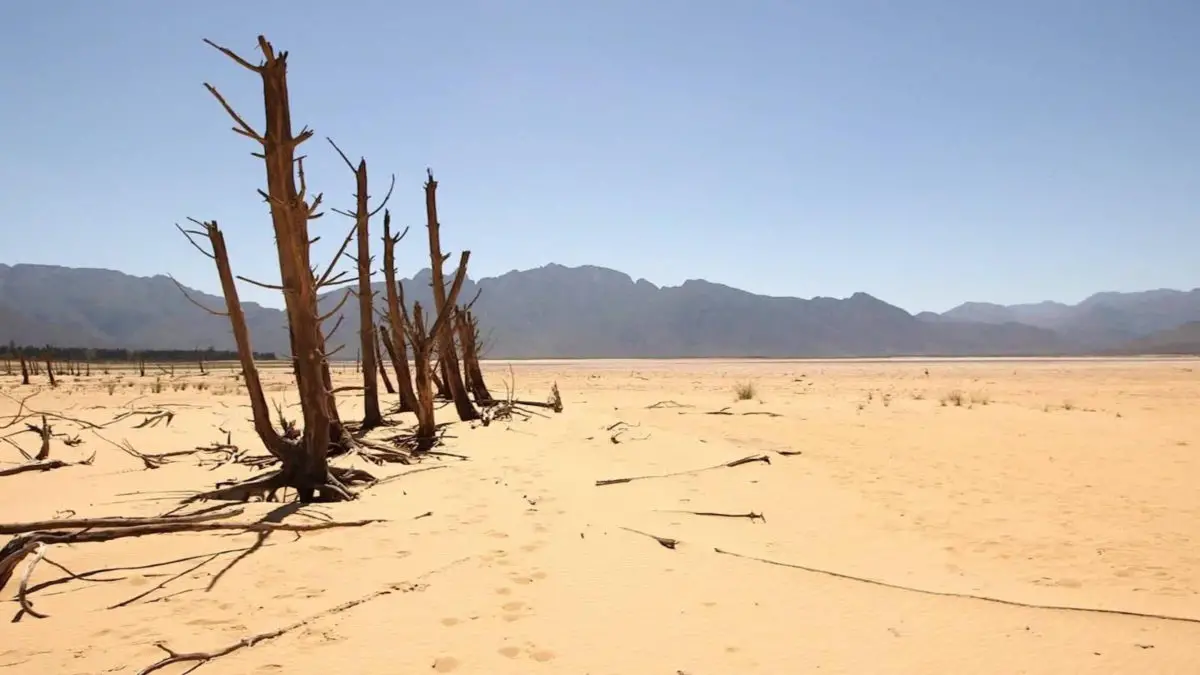 LAS PEORES SEQUÍAS DEL MUNDO Y SUS CONSECUENCIAS