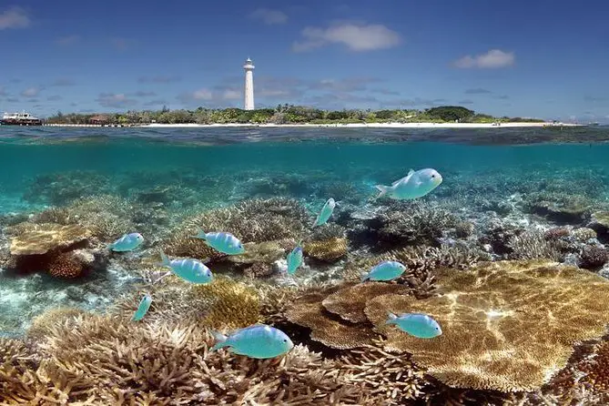 Isla Nueva Caledonia 